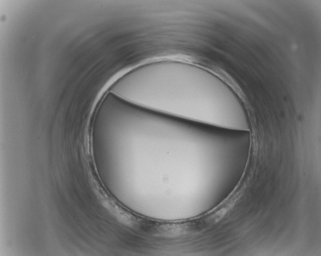 X0000080201044200612081129