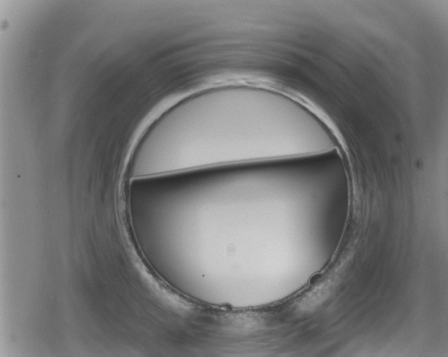 X0000080201045200612081129