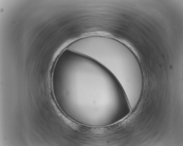 X0000080201046200612081129