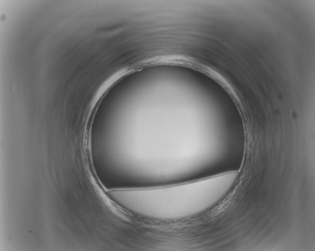 X0000080201050200612081129