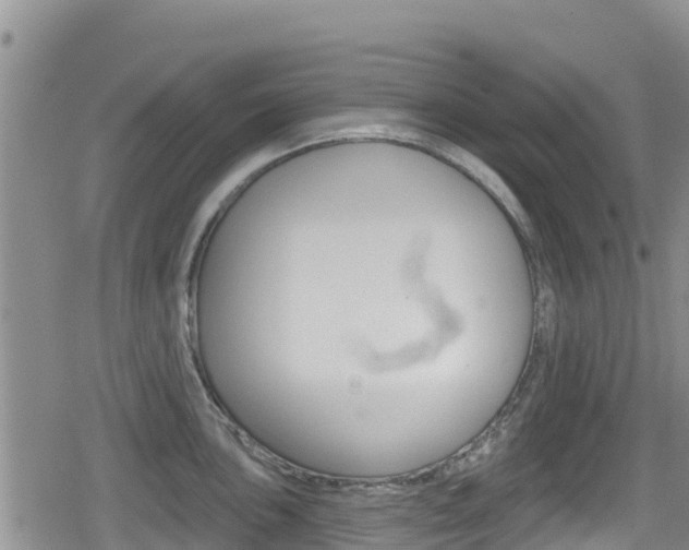 X0000080201051200612081129