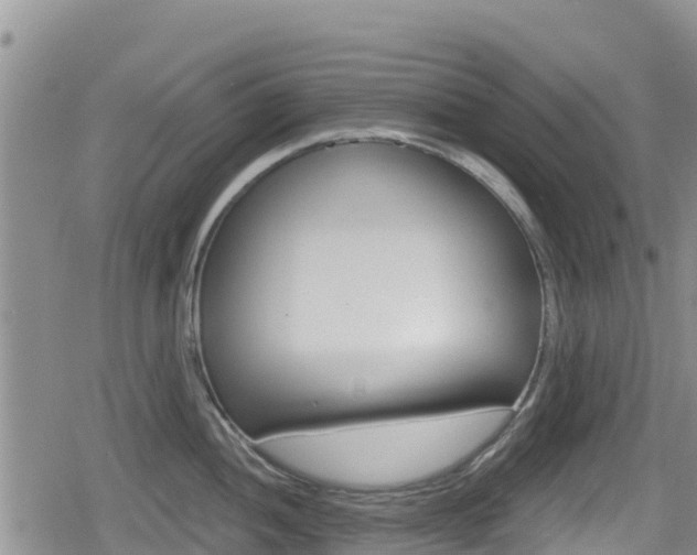 X0000080201052200612081129