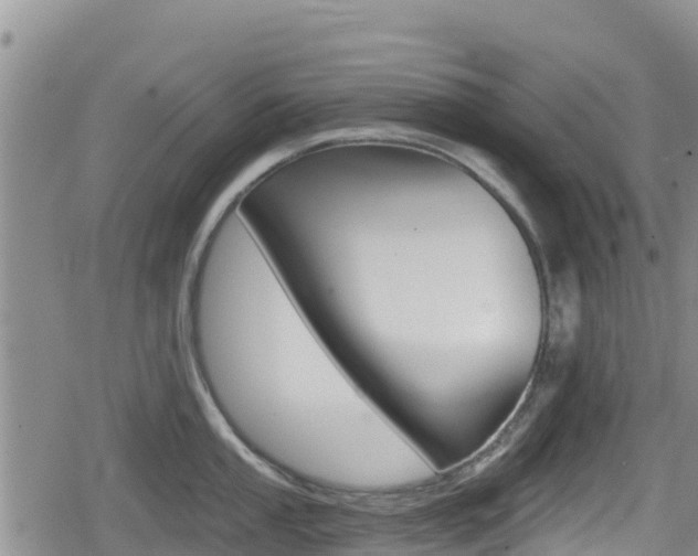 X0000080201053200612081129