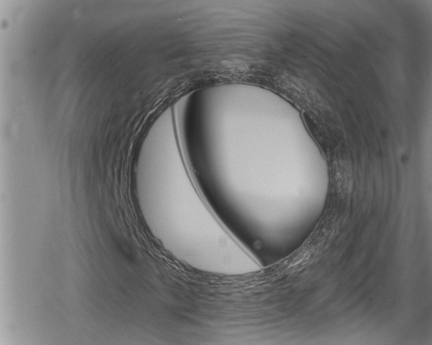 X0000080201057200612081128