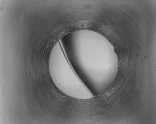 X0000080201058200612081128