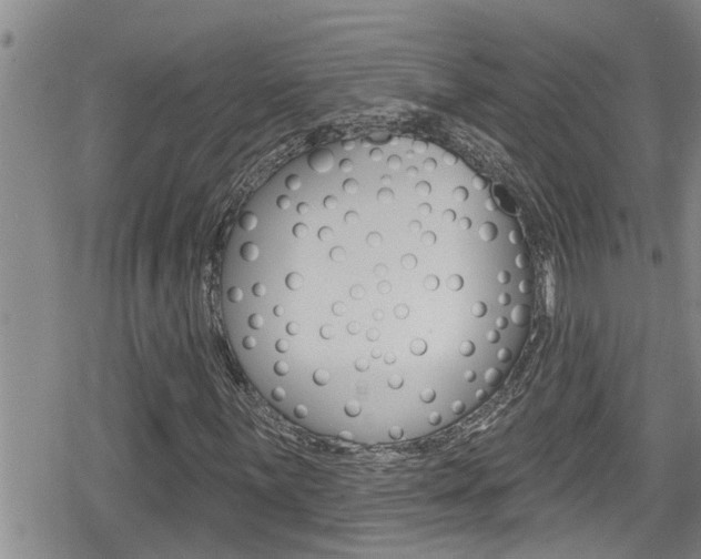 X0000080201059200612081128
