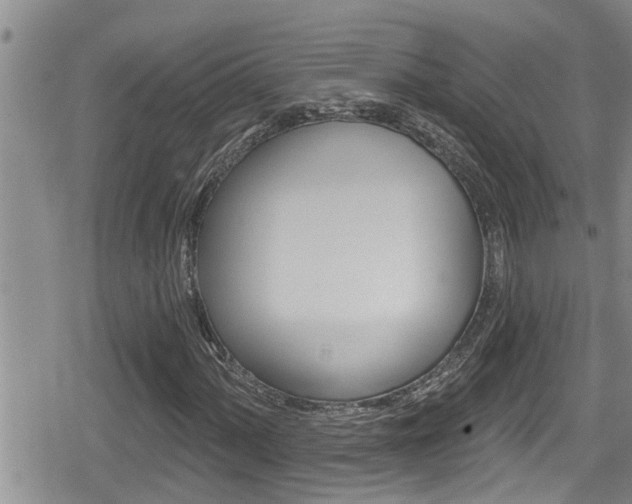 X0000080201060200612081128