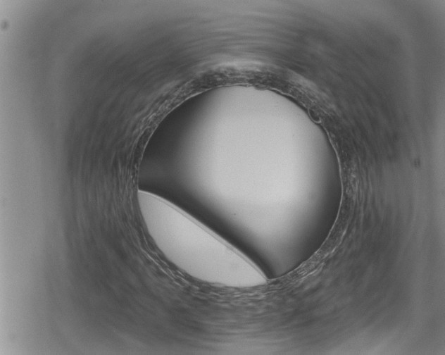X0000080201061200612081128