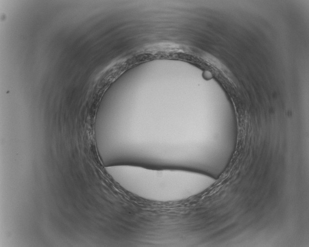 X0000080201063200612081128