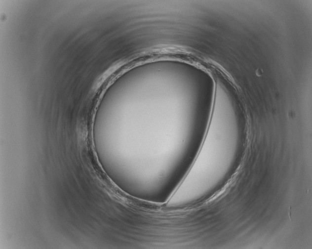X0000080201065200612081128