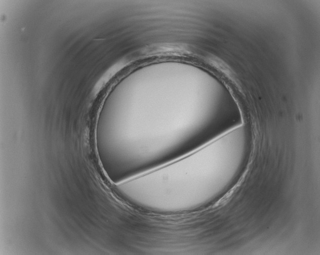 X0000080201066200612081128
