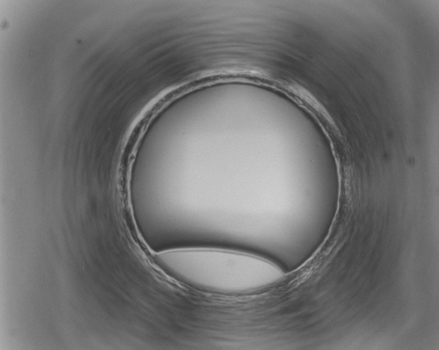 X0000080201068200612081128