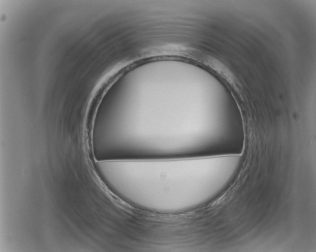 X0000080201072200612081128