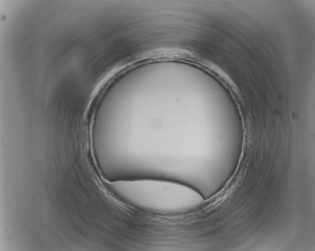 X0000080201075200612081128