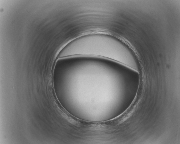 X0000080201081200612081128