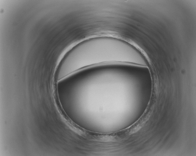 X0000080201085200612081128