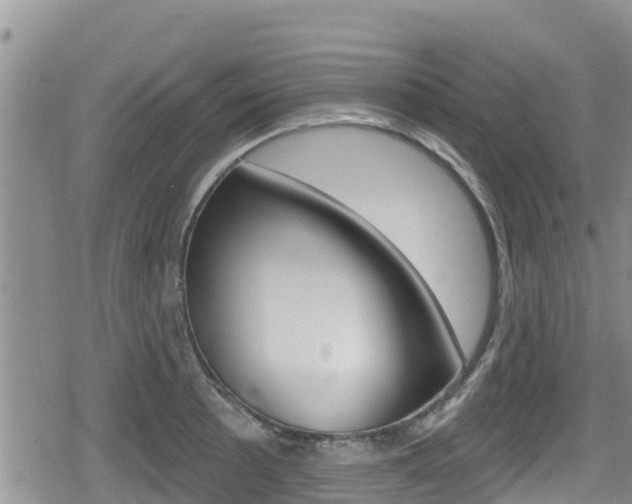 X0000080201089200612081128