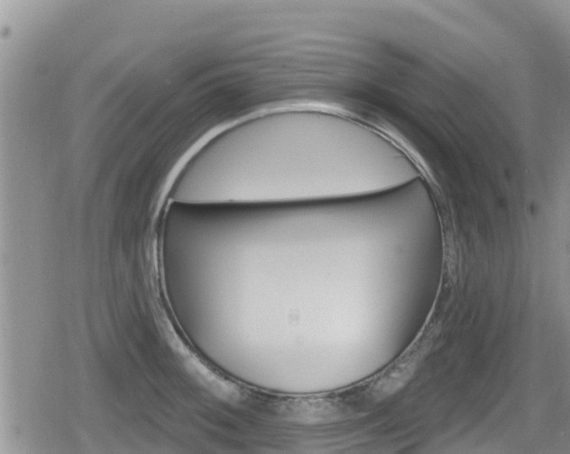 X0000080201092200612081128