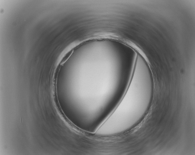 X0000080201093200612081128