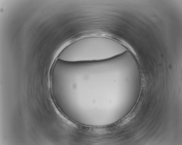 X0000080201095200612081128
