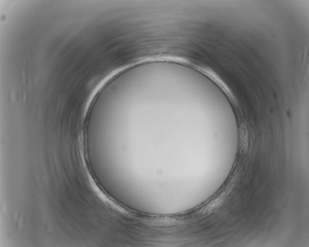 X0000080201100200612081128