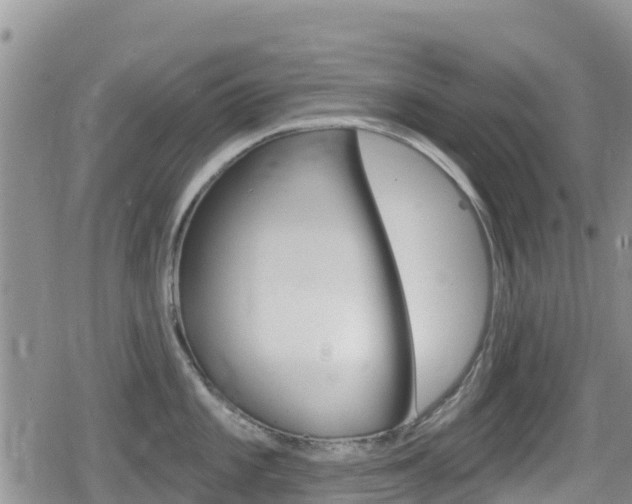 X0000080201101200612081128