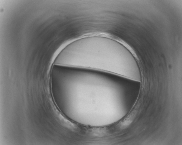 X0000080201102200612081128