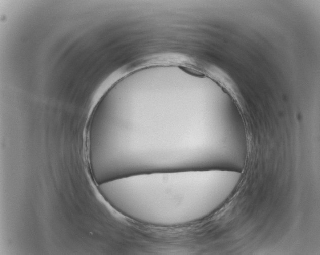 X0000080201103200612081128