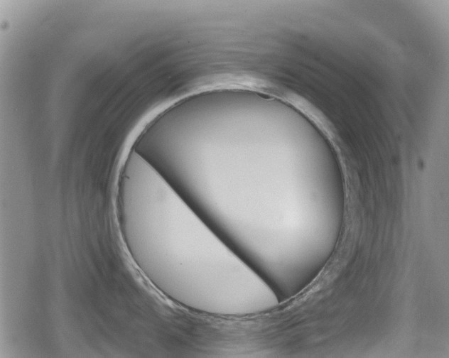 X0000080201104200612081128