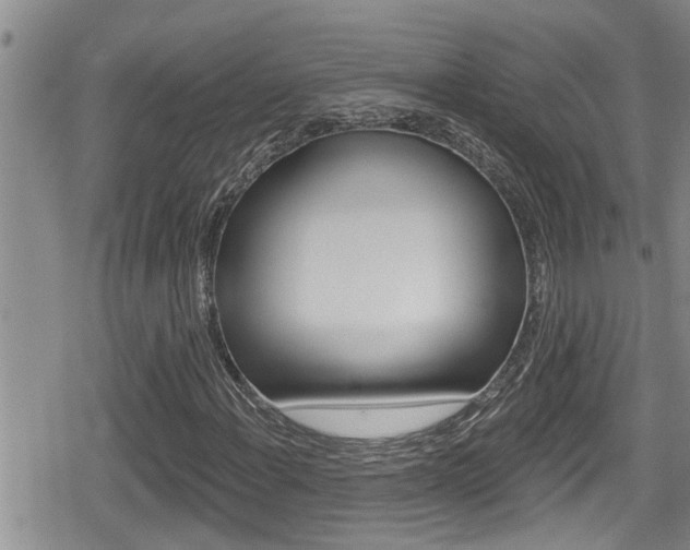 X0000080201108200612081127