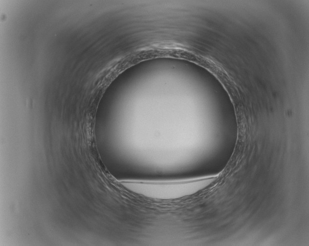 X0000080201110200612081127