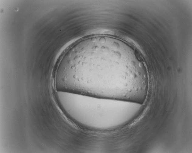 X0000080201125200612081127