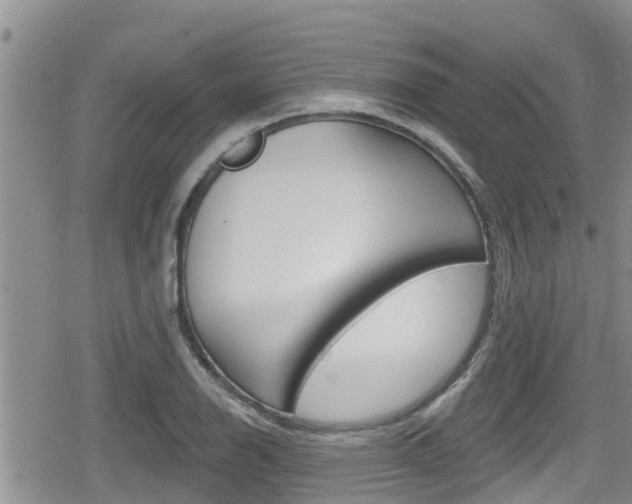 X0000080201126200612081127
