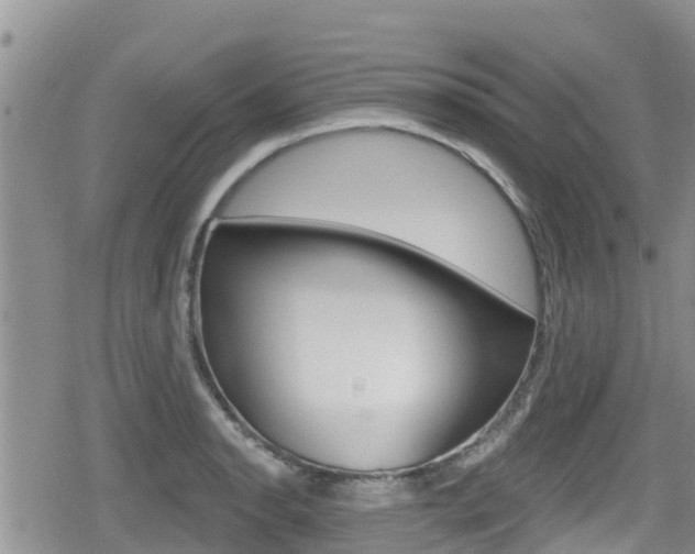 X0000080201134200612081127