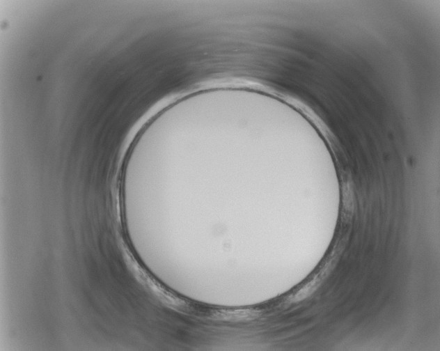 X0000080201150200612081128