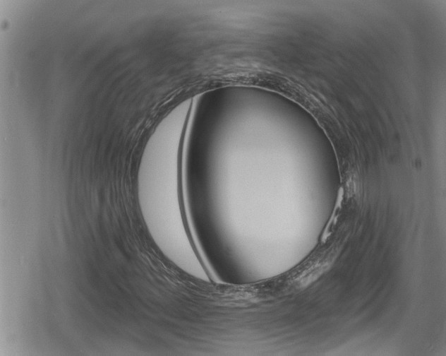X0000080201156200612081127