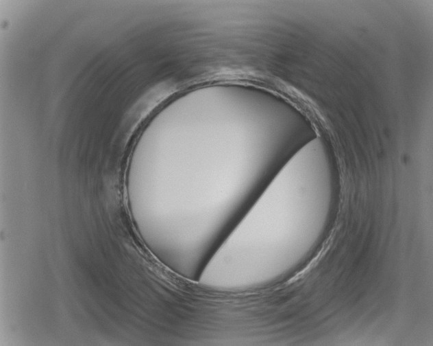 X0000080201170200612081126