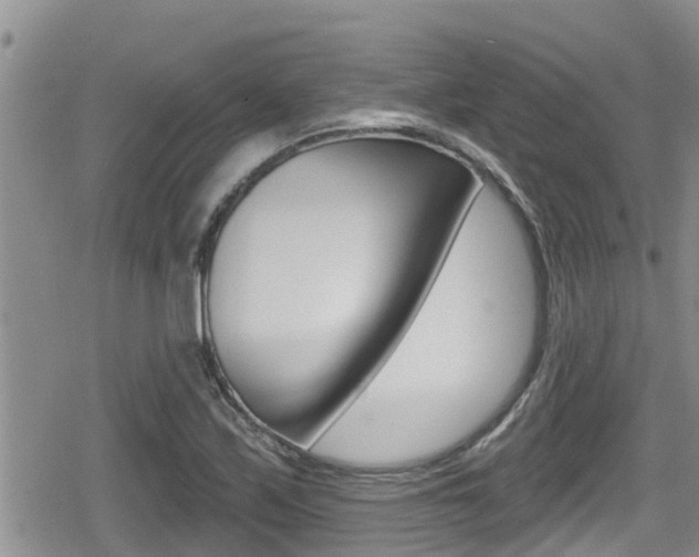 X0000080201171200612081126