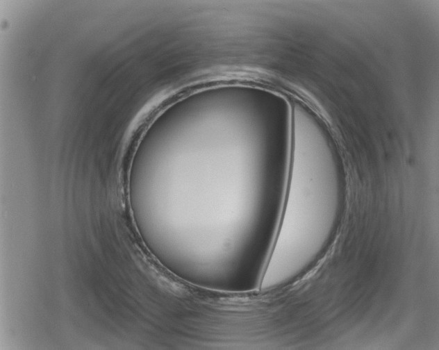 X0000080201172200612081126