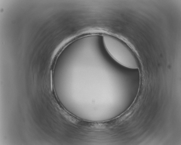 X0000080201175200612081126