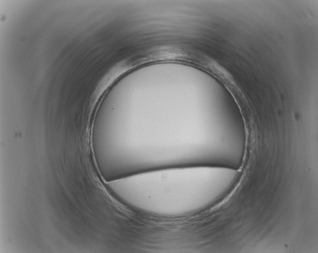 X0000080201178200612081126