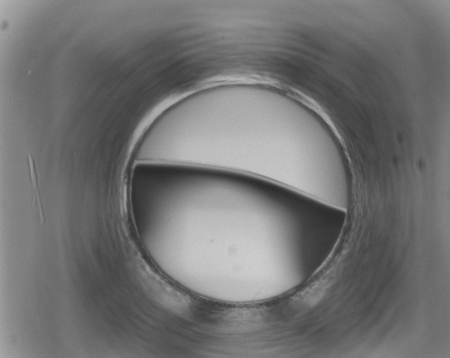 X0000080201179200612081126