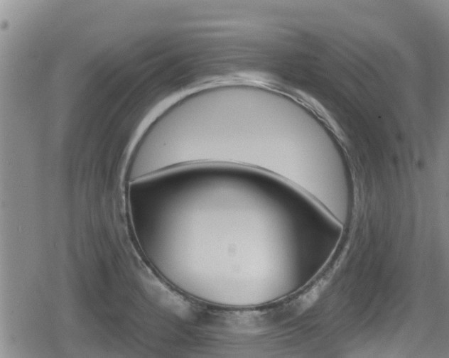 X0000080201184200612081126