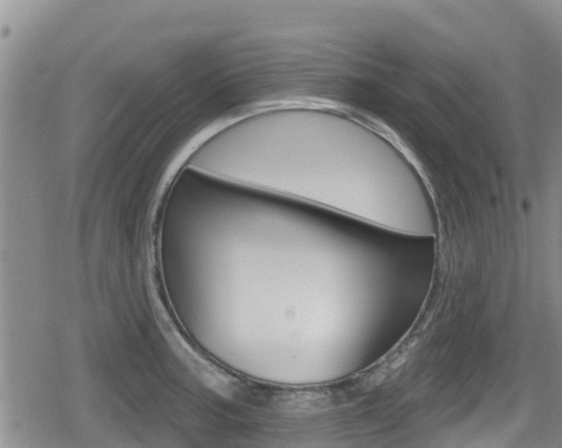 X0000080201187200612081126