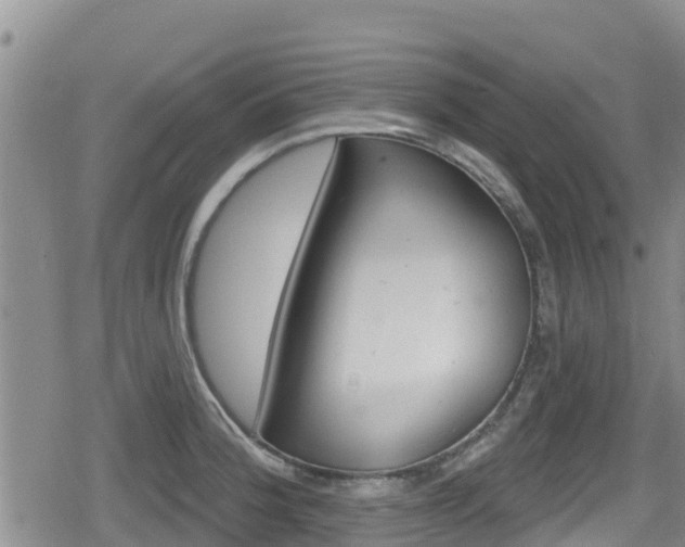 X0000080201188200612081126