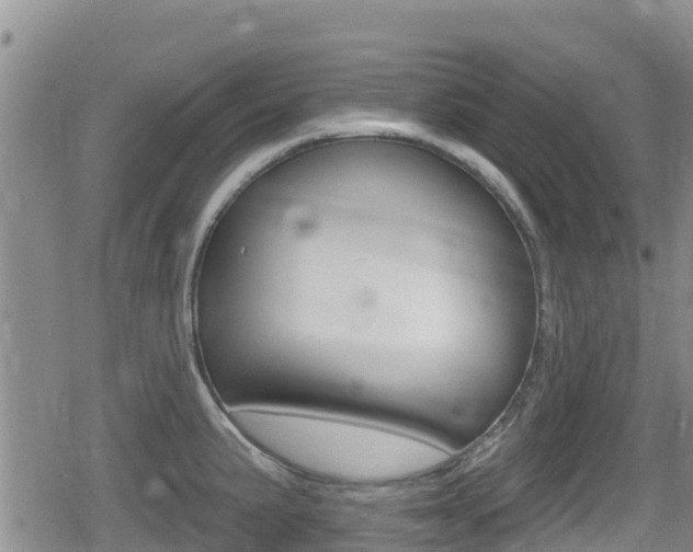 X0000080201191200612081126