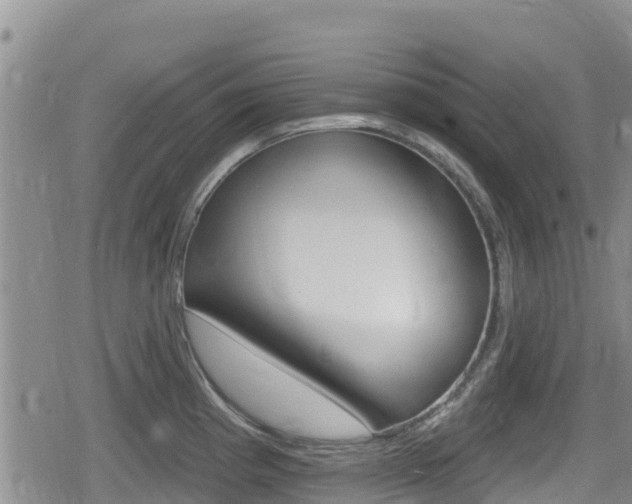 X0000080201193200612081126