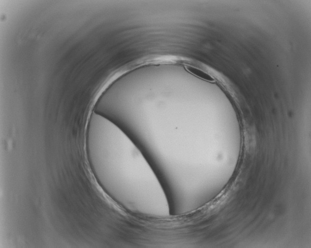 X0000080201194200612081126