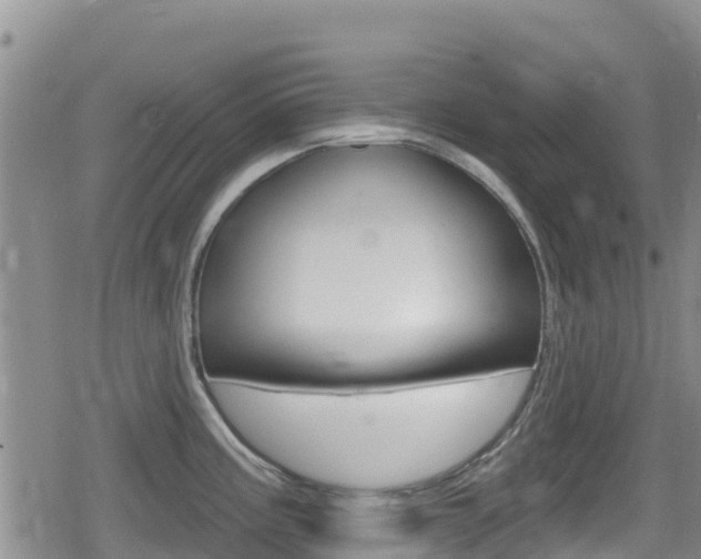 X0000080201195200612081126