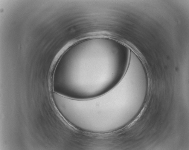 X0000080201196200612081126